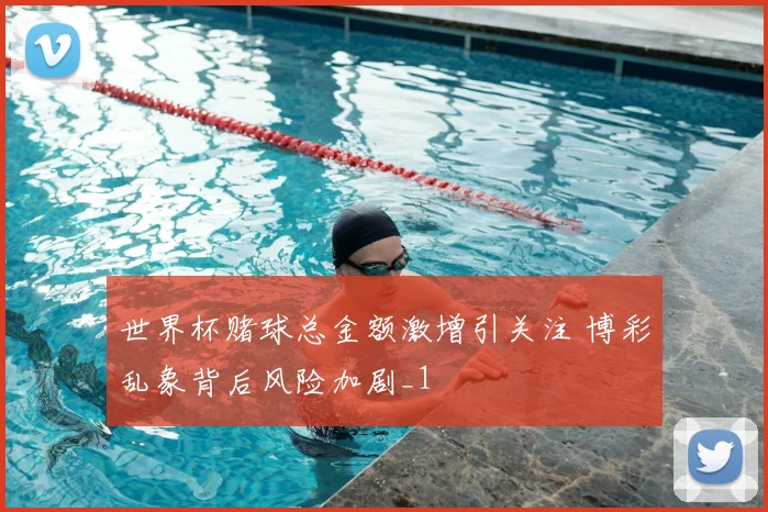 世界杯赌球总金额激增引关注 博彩乱象背后风险加剧_1